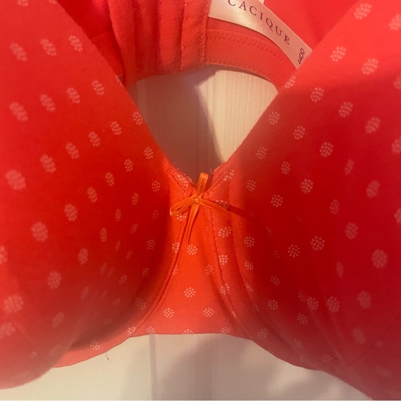 Full Support Bra - Picture 6 of 8